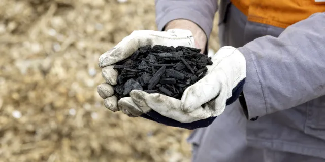 Bio-coal Torero