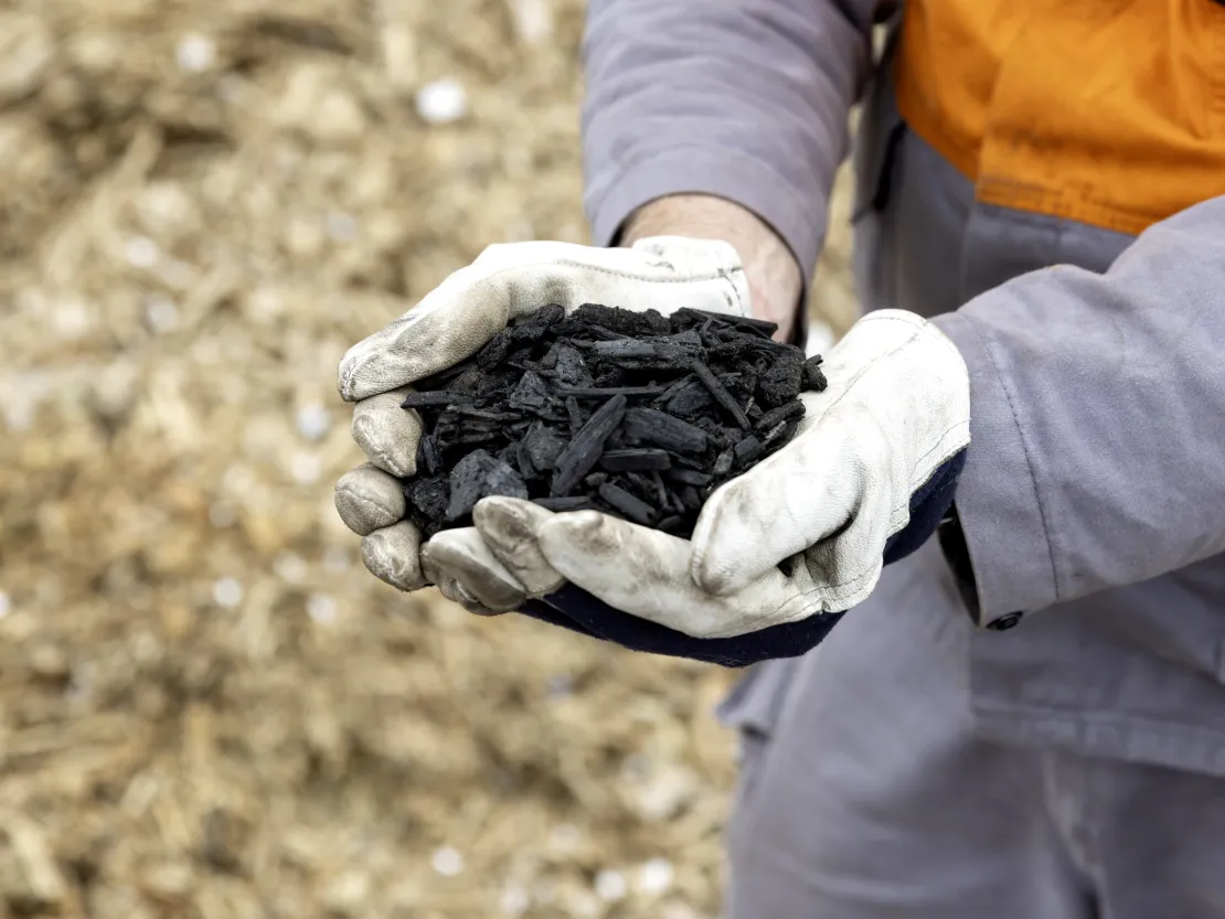 Bio-coal Torero
